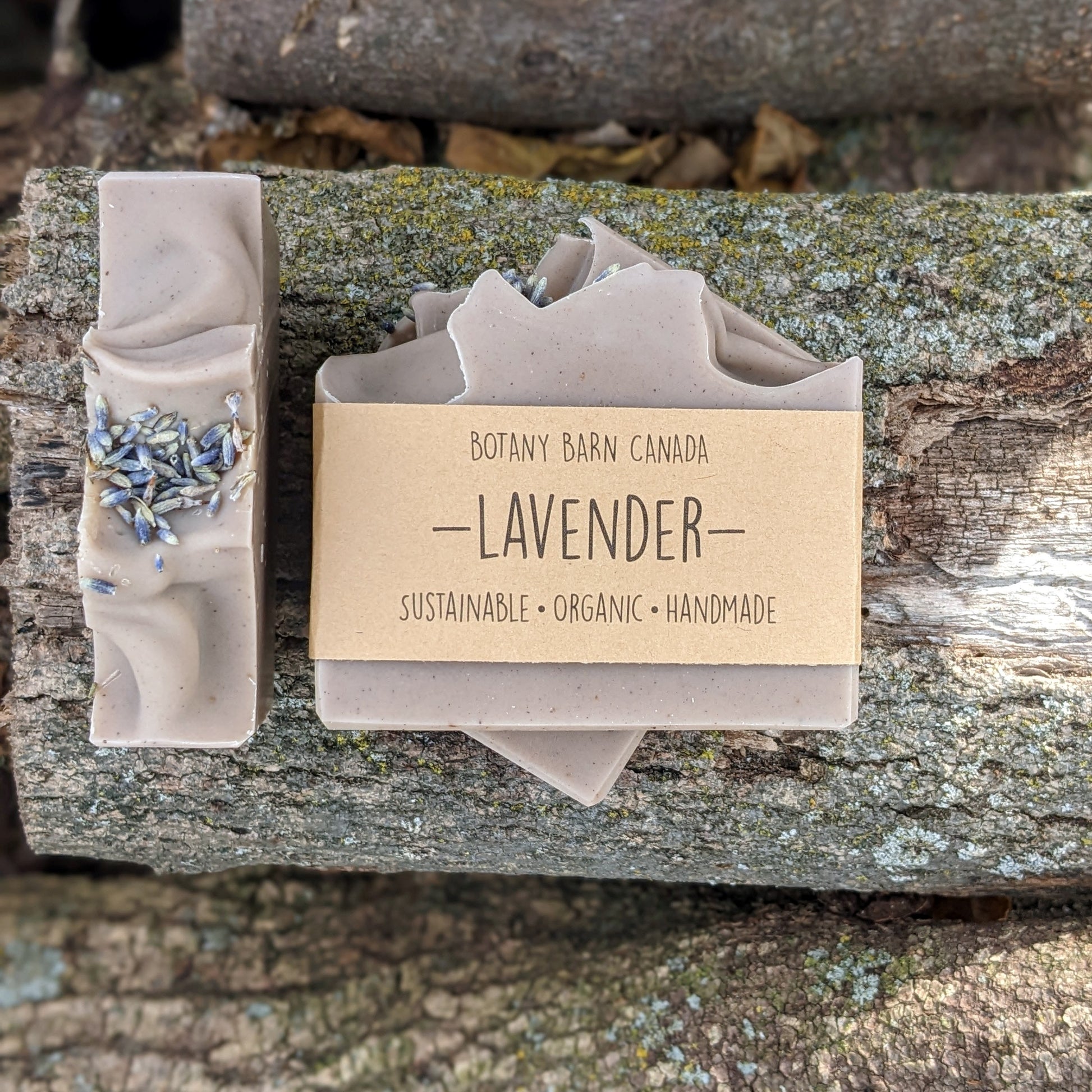 Bars of handmade artisan soap, top and front view. The soap is pale purple in colour with dried lavender buds scattered on top. A brown label reads the name of the company, Botany Barn Canada and the name of the soap, Lavender.