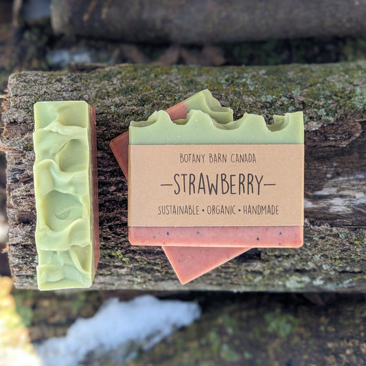 Bars of handmade artisan soap, top and front view. The bottom half of the soap is pink with black dots and the top is green in colour. A brown label reads the name of the company, Botany Barn Canada and the name of the soap, Strawberry.