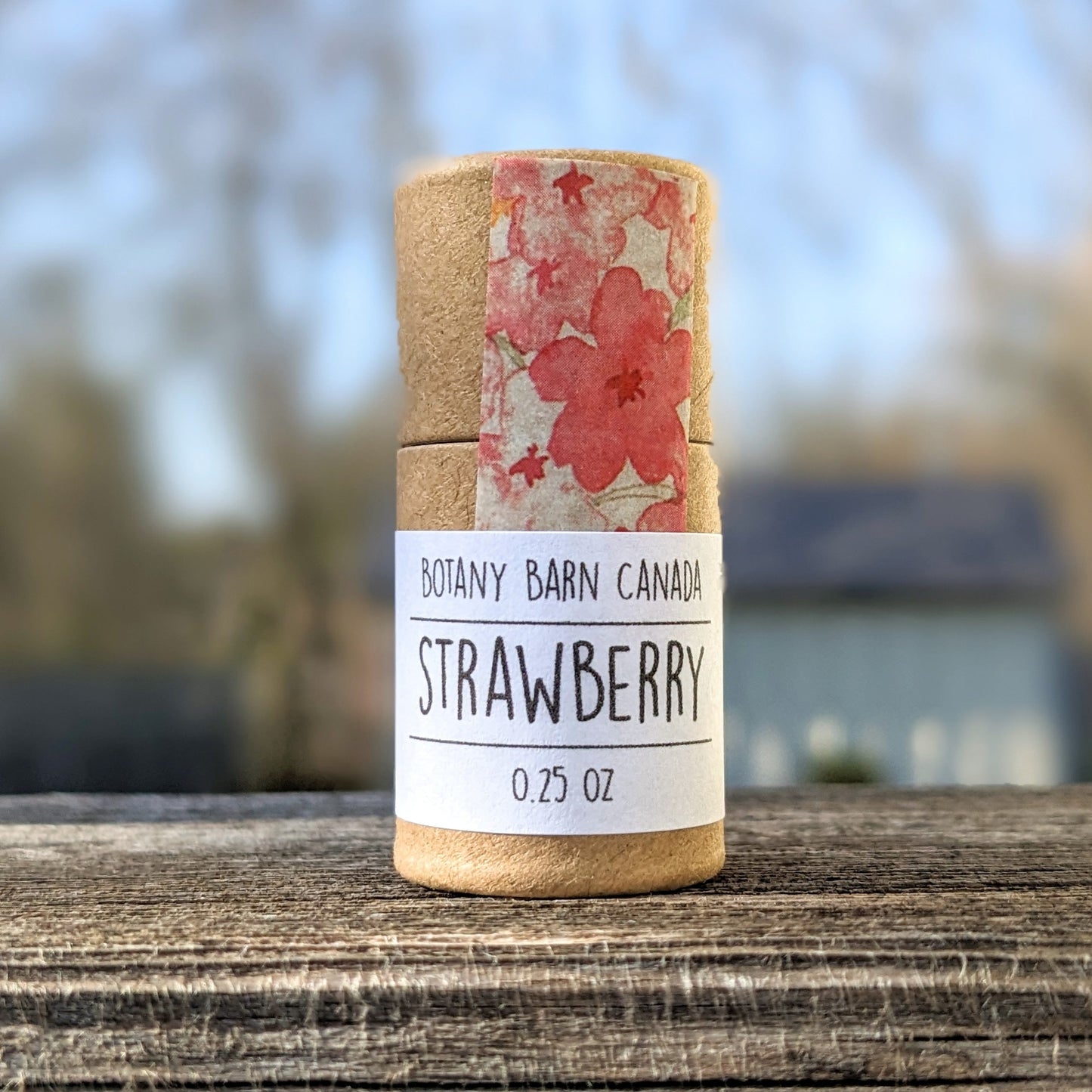 Natural Lip Balm | Set of 8 Plastic Free Organic Lip Balms in an Eco Friendly Tube