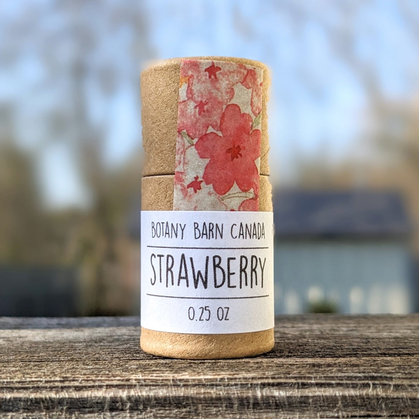 Natural Lip Balm | Handmade Organic Lip Balm in Eco Friendly Tube