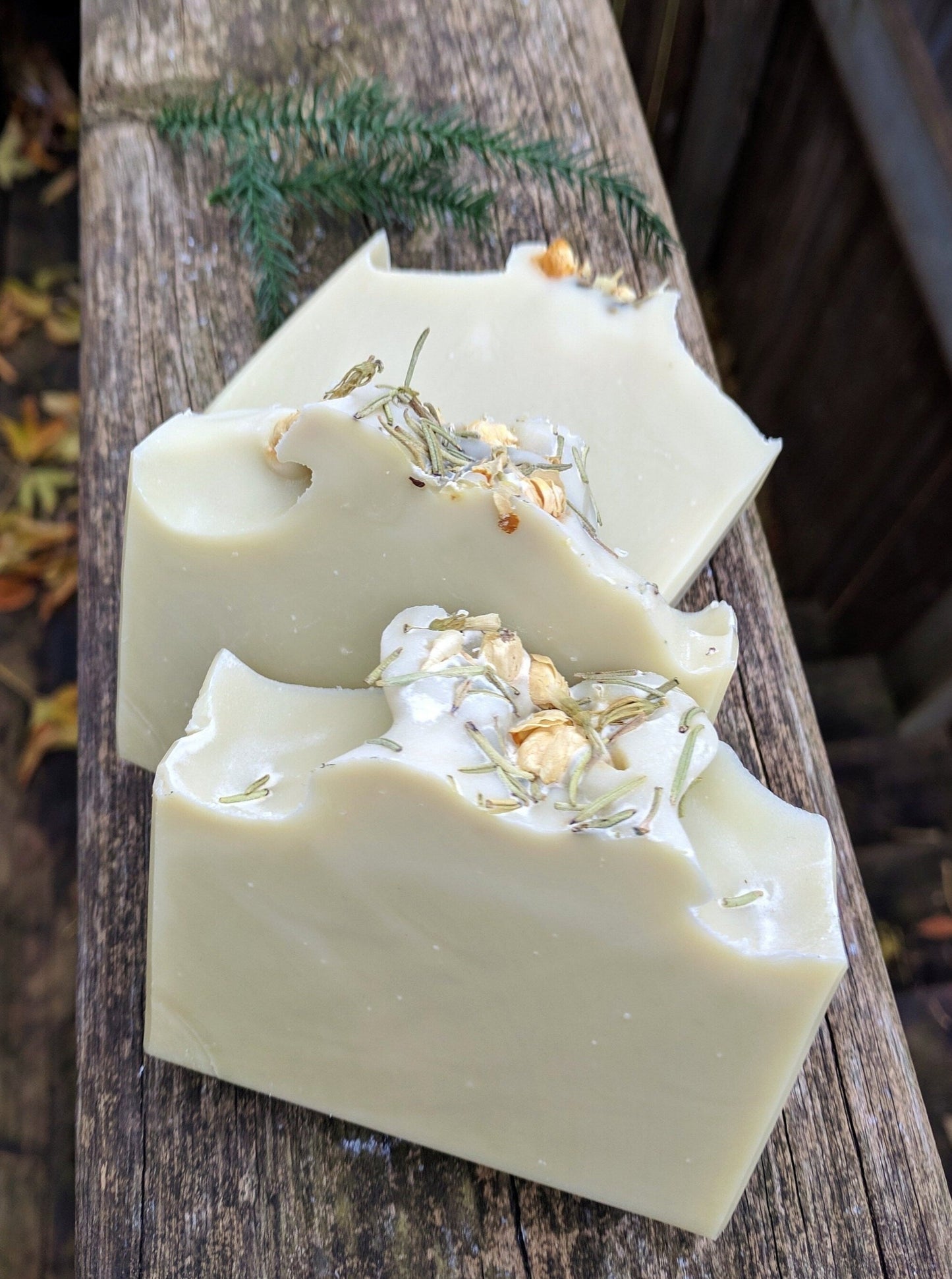 Natural Soap | EVERGREEN - Rosemary, Cedarwood & French Green Clay Soap