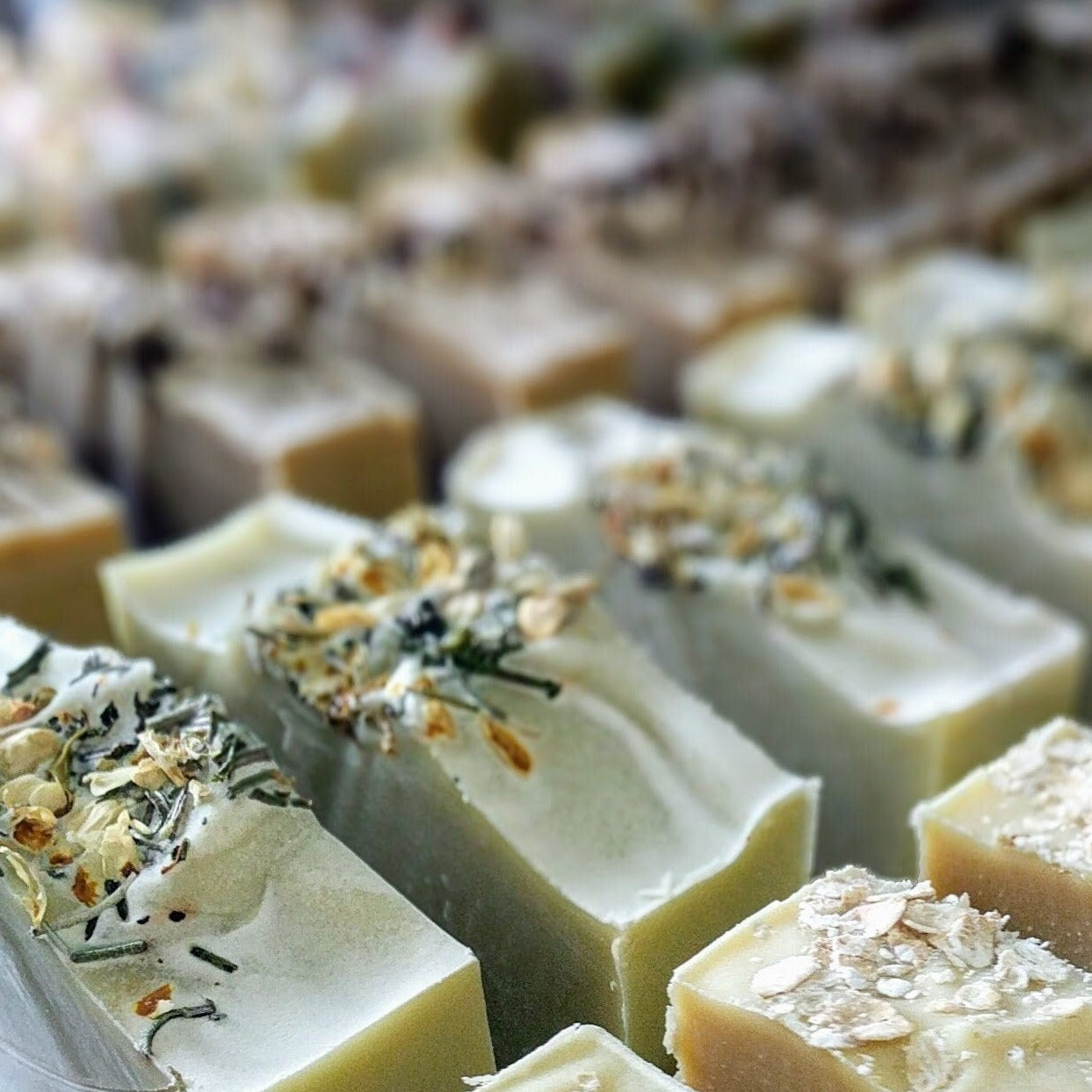 Natural Soap | EVERGREEN - Rosemary, Cedarwood & French Green Clay Soap