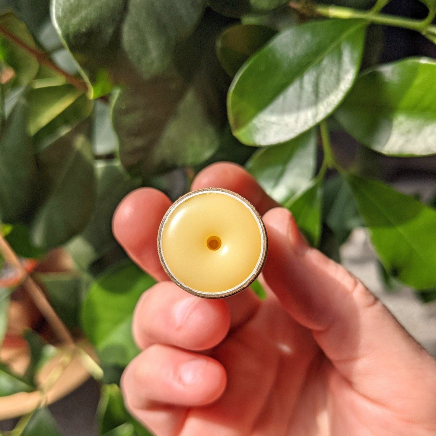 Natural Lip Balm | Set of Three Eco Friendly & Organic Lip Balm