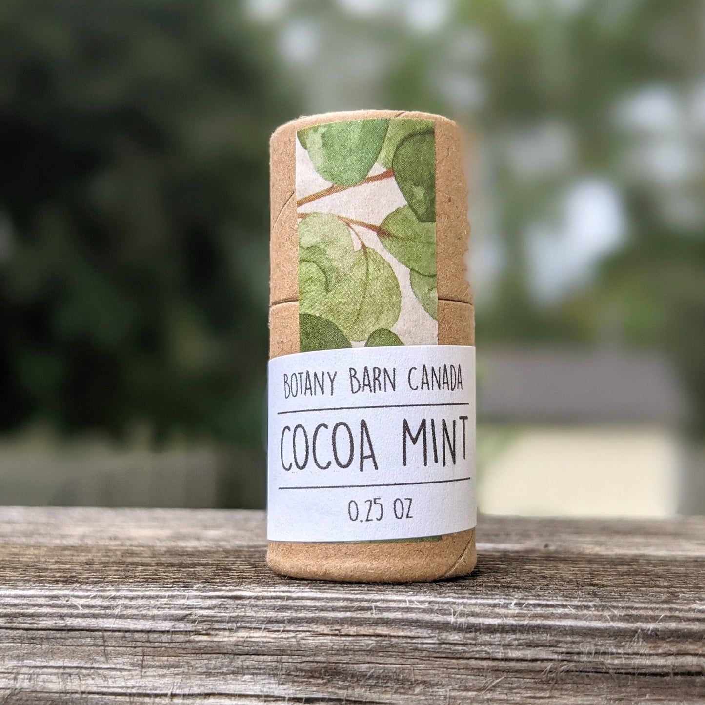 Natural Lip Balm | Handmade Organic Lip Balm in Eco Friendly Tube