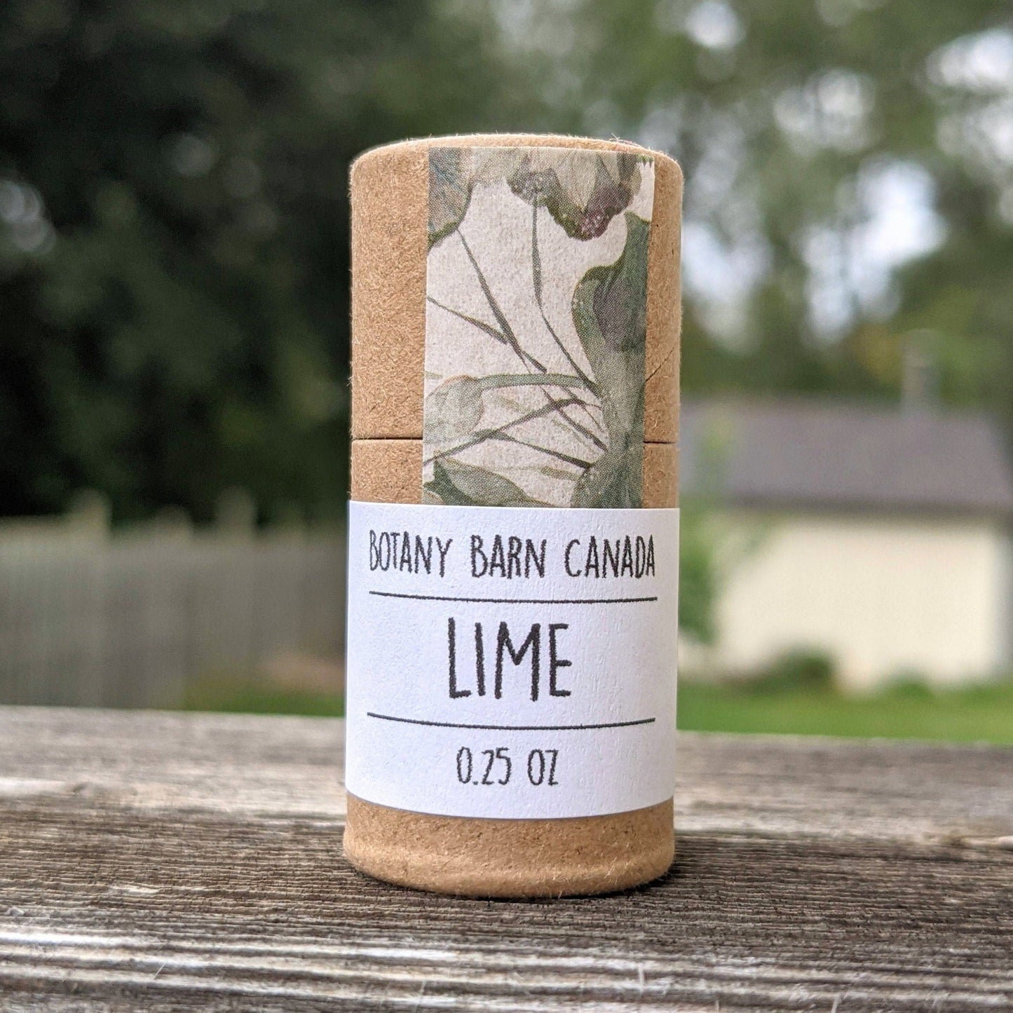 Natural Lip Balm | Set of 8 Plastic Free Organic Lip Balms in an Eco Friendly Tube