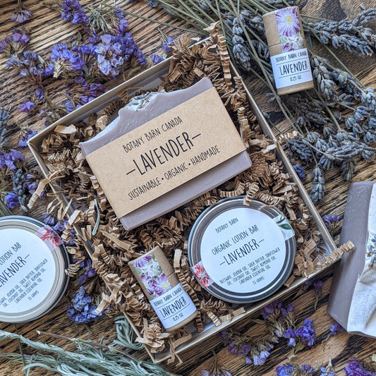 Coffret cadeau de soins personnels pour amoureux de la lavande avec savon artisanal, baume à lèvres écologique et barre de lotion biologique