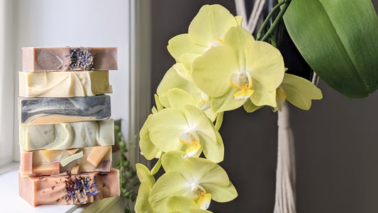 stack of soap bars next to a blooming orchid 