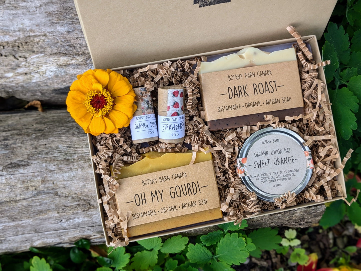 Natural Gift Box | 2 Artisan Soaps, 2 Zero Waste Lip Balm, 1 Organic Lotion Bar