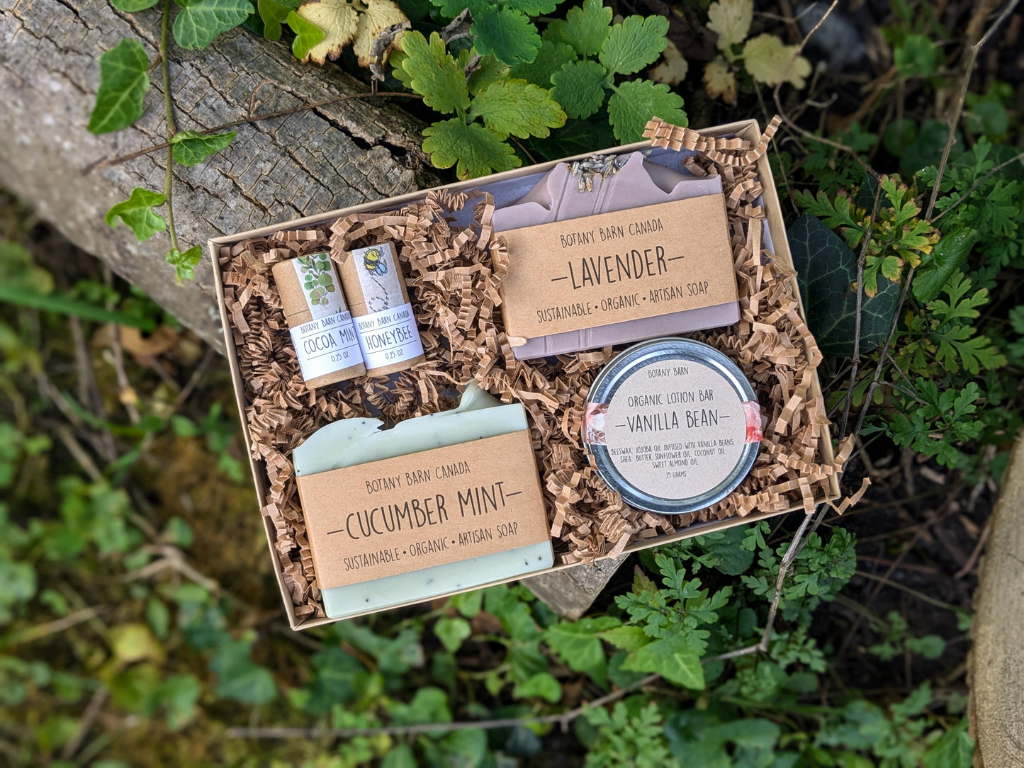 Natural Gift Box | 2 Artisan Soaps, 2 Zero Waste Lip Balm, 1 Organic Lotion Bar