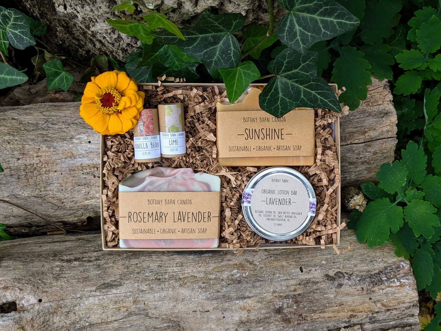 Natural Gift Box | 2 Artisan Soaps, 2 Zero Waste Lip Balm, 1 Organic Lotion Bar