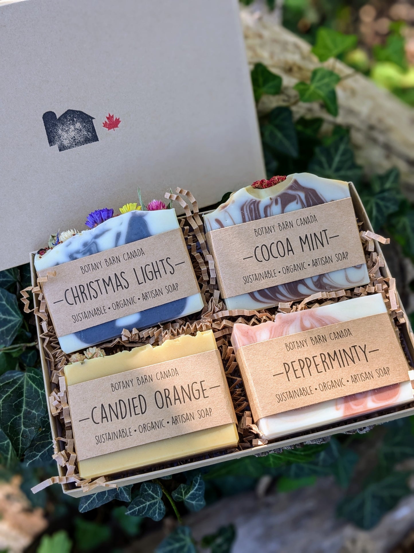 Holiday Soap Collection - Four Organic Essential Oil Soaps. Eco-Friendly Christmas Gift