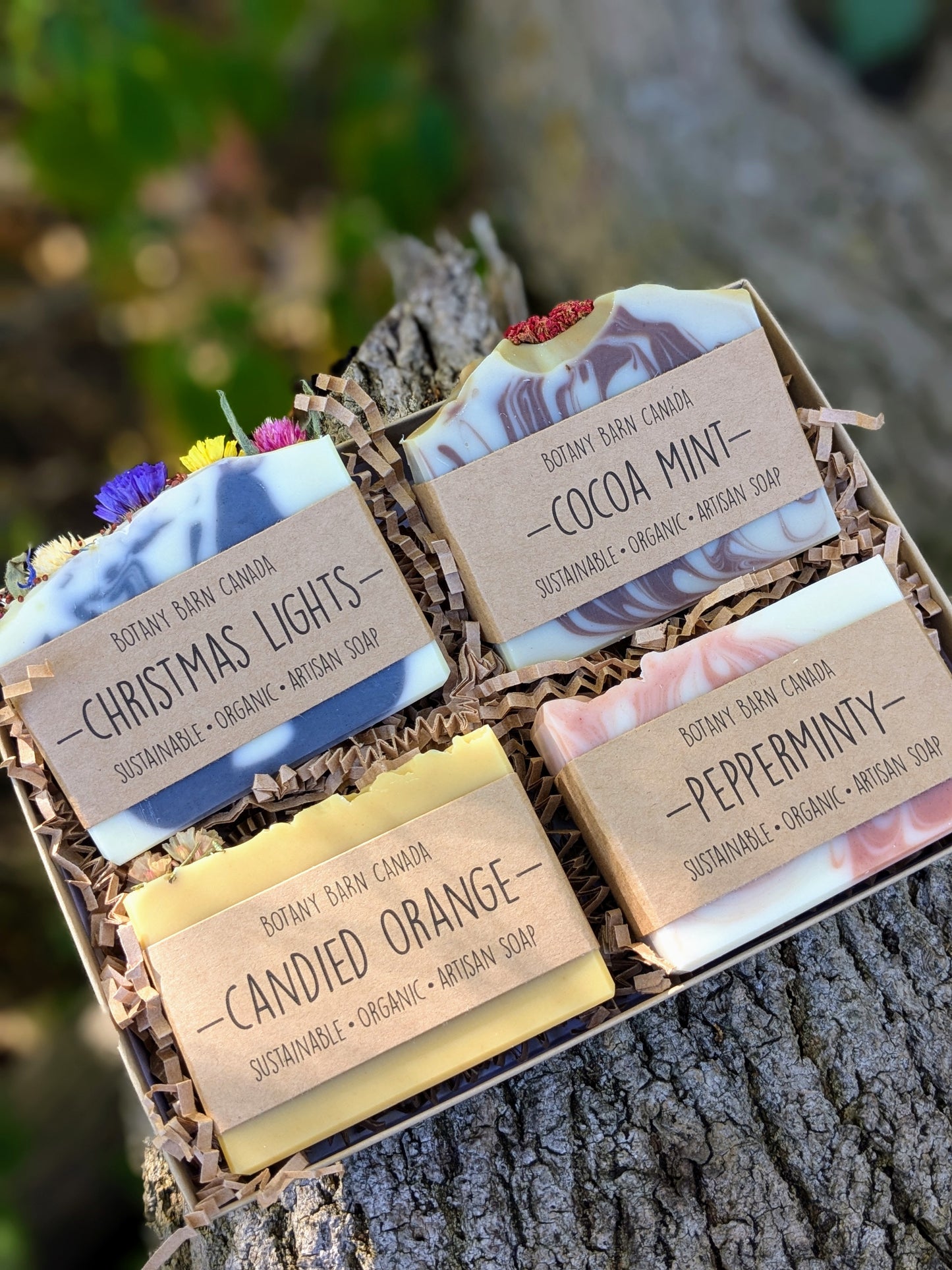 Holiday Soap Collection - Four Organic Essential Oil Soaps. Eco-Friendly Christmas Gift