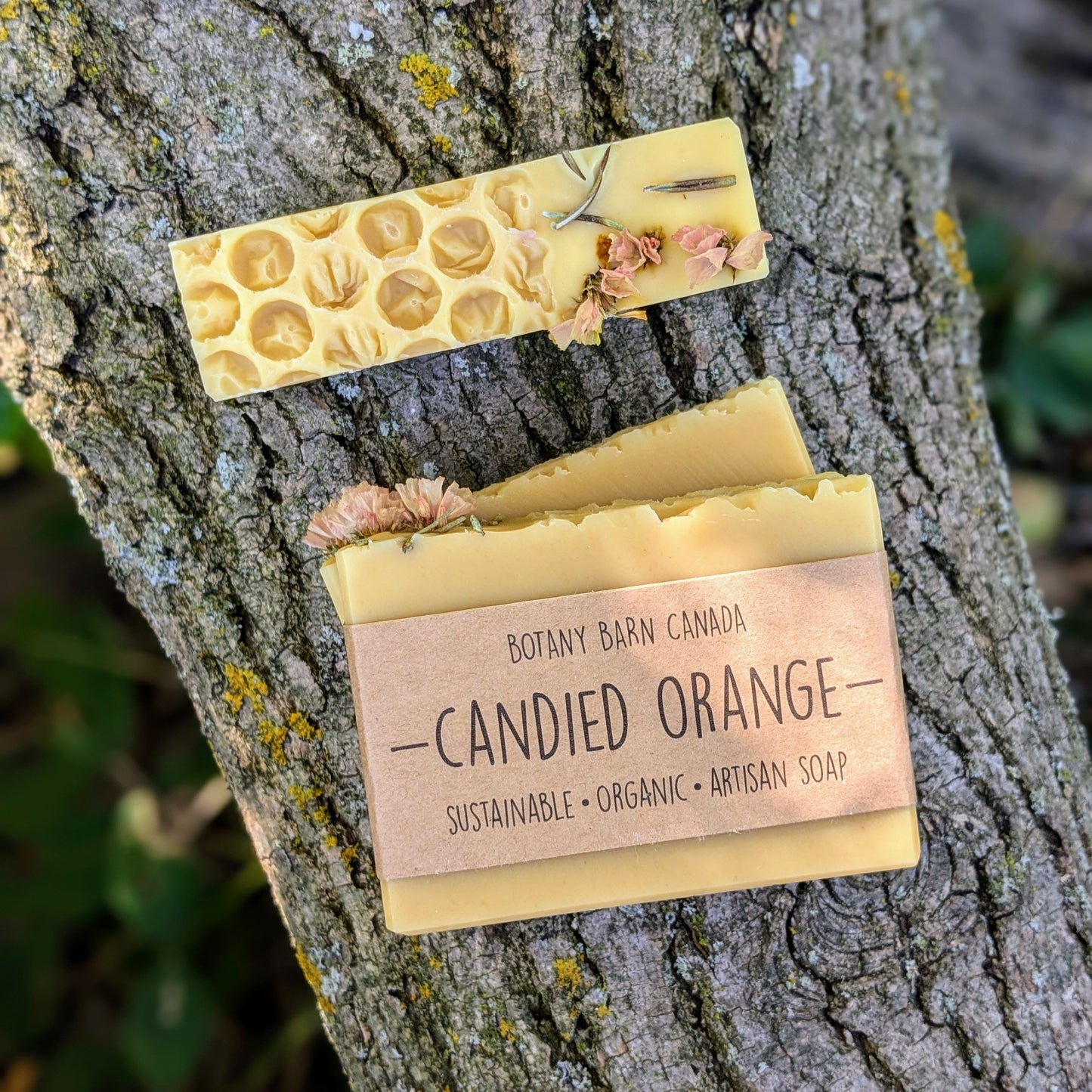 Natural Soap | CANDIED ORANGE - Orange, Ylang Ylang & Honey Holiday Soap