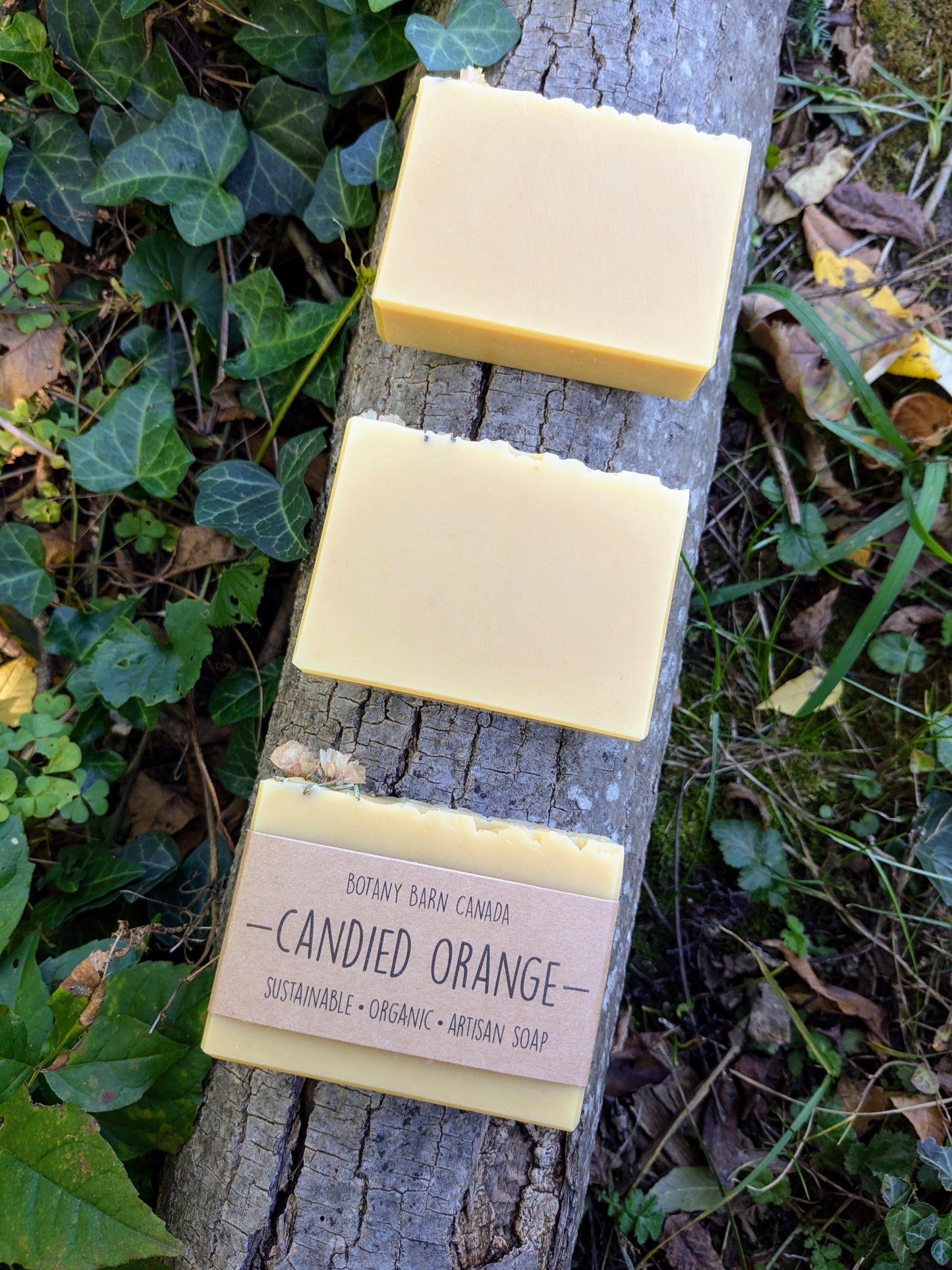 Natural Soap | CANDIED ORANGE - Orange, Ylang Ylang & Honey Holiday Soap