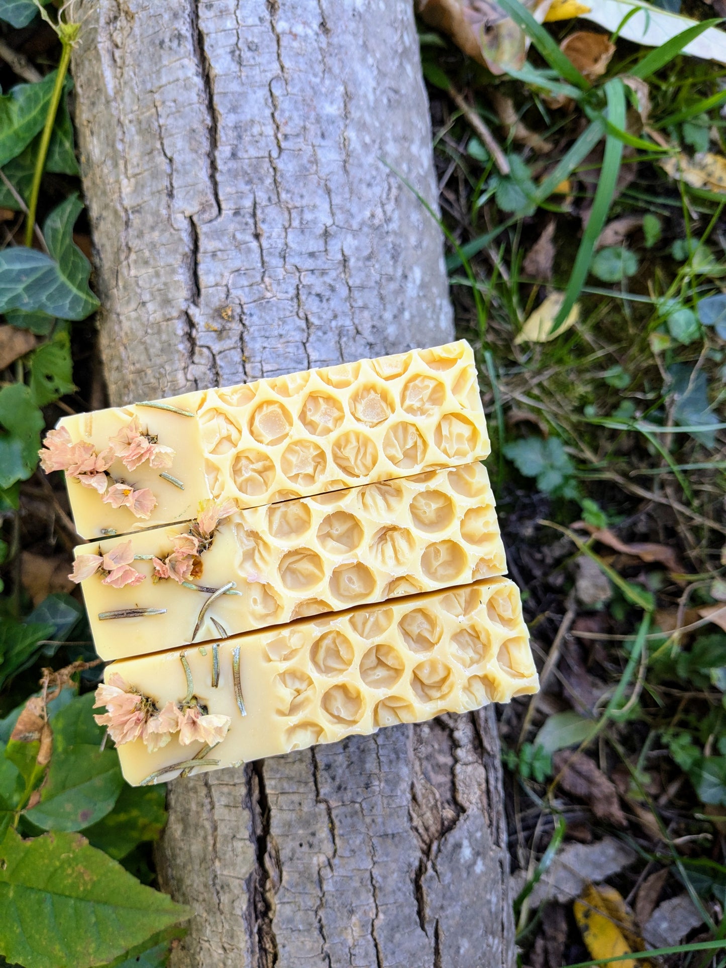 Natural Soap | CANDIED ORANGE - Orange, Ylang Ylang & Honey Holiday Soap