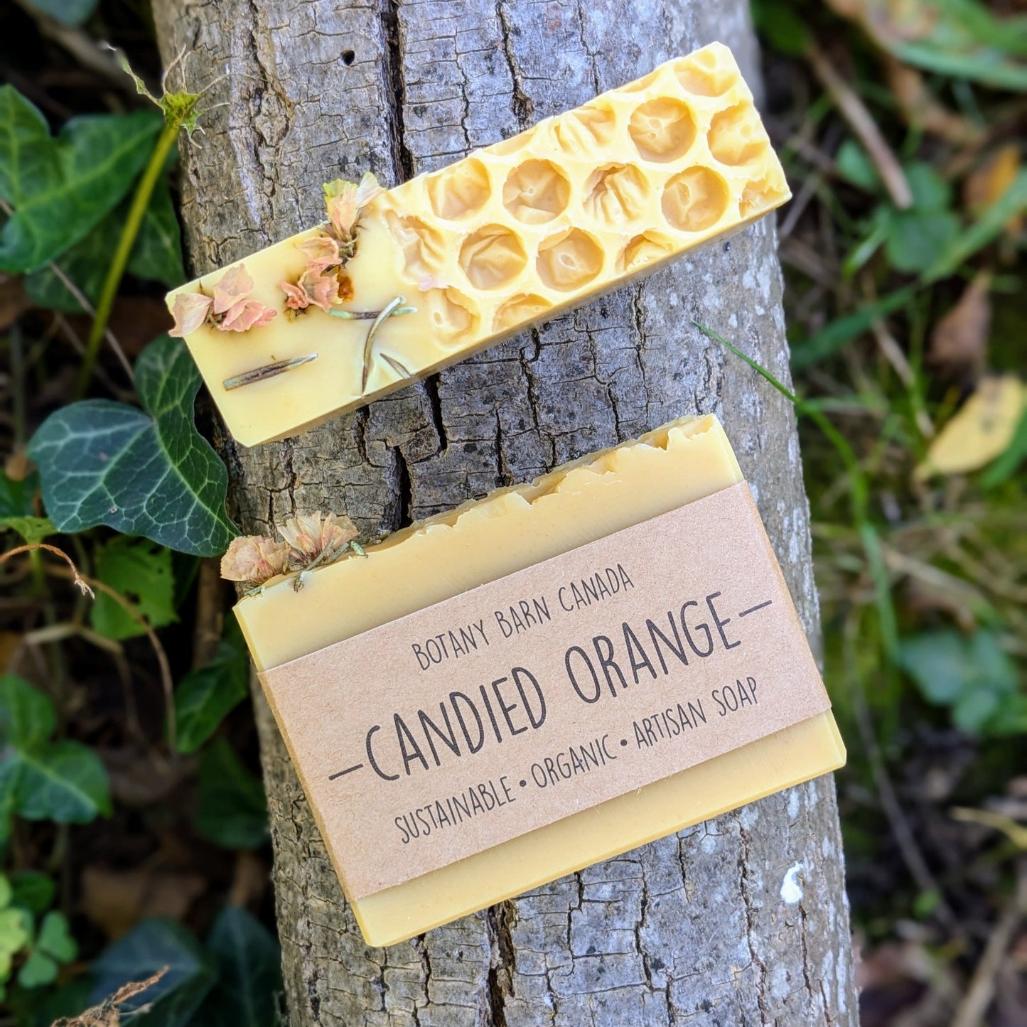 Natural Soap | CANDIED ORANGE - Orange, Ylang Ylang & Honey Holiday Soap