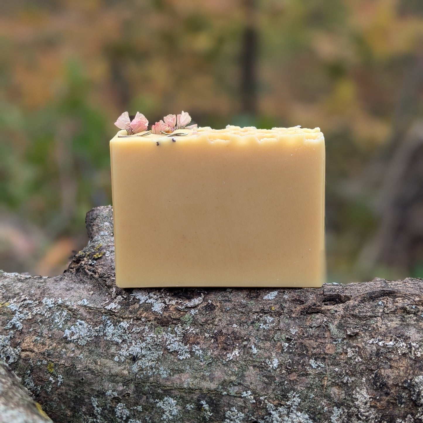 Natural Soap | CANDIED ORANGE - Orange, Ylang Ylang & Honey Holiday Soap