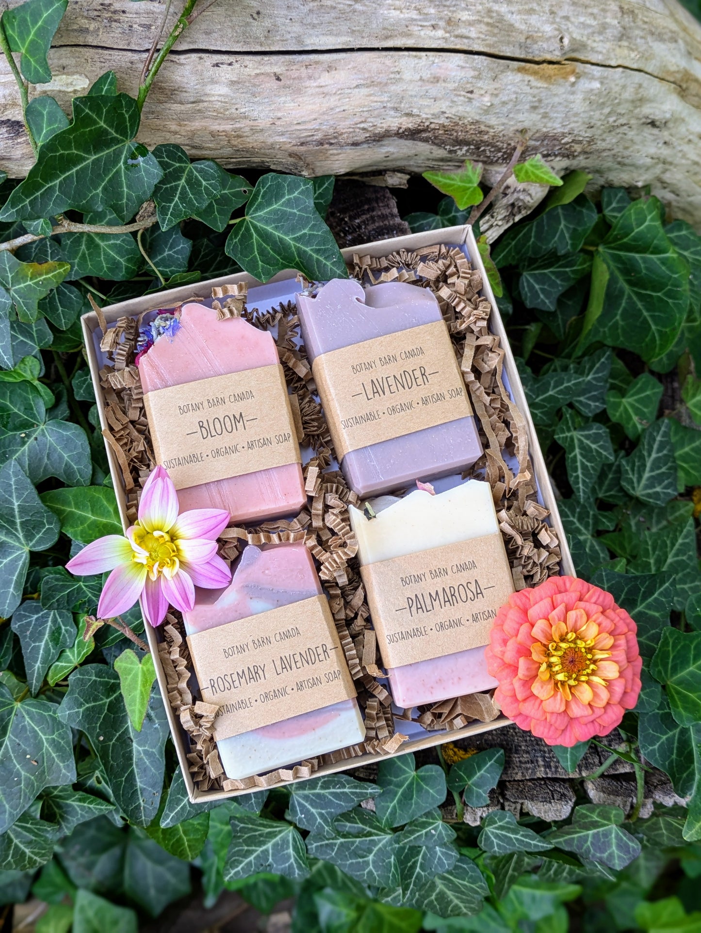 Coffret cadeau de 4 demi-barres de savons bio
