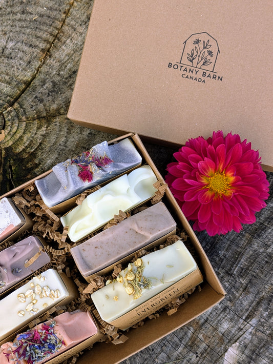 Natural Soaps | Gift Set of Eight Organic Artisan Soaps