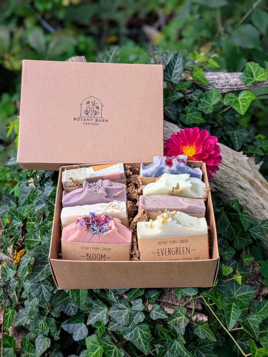 Natural Soaps | Gift Set of Eight Organic Artisan Soaps