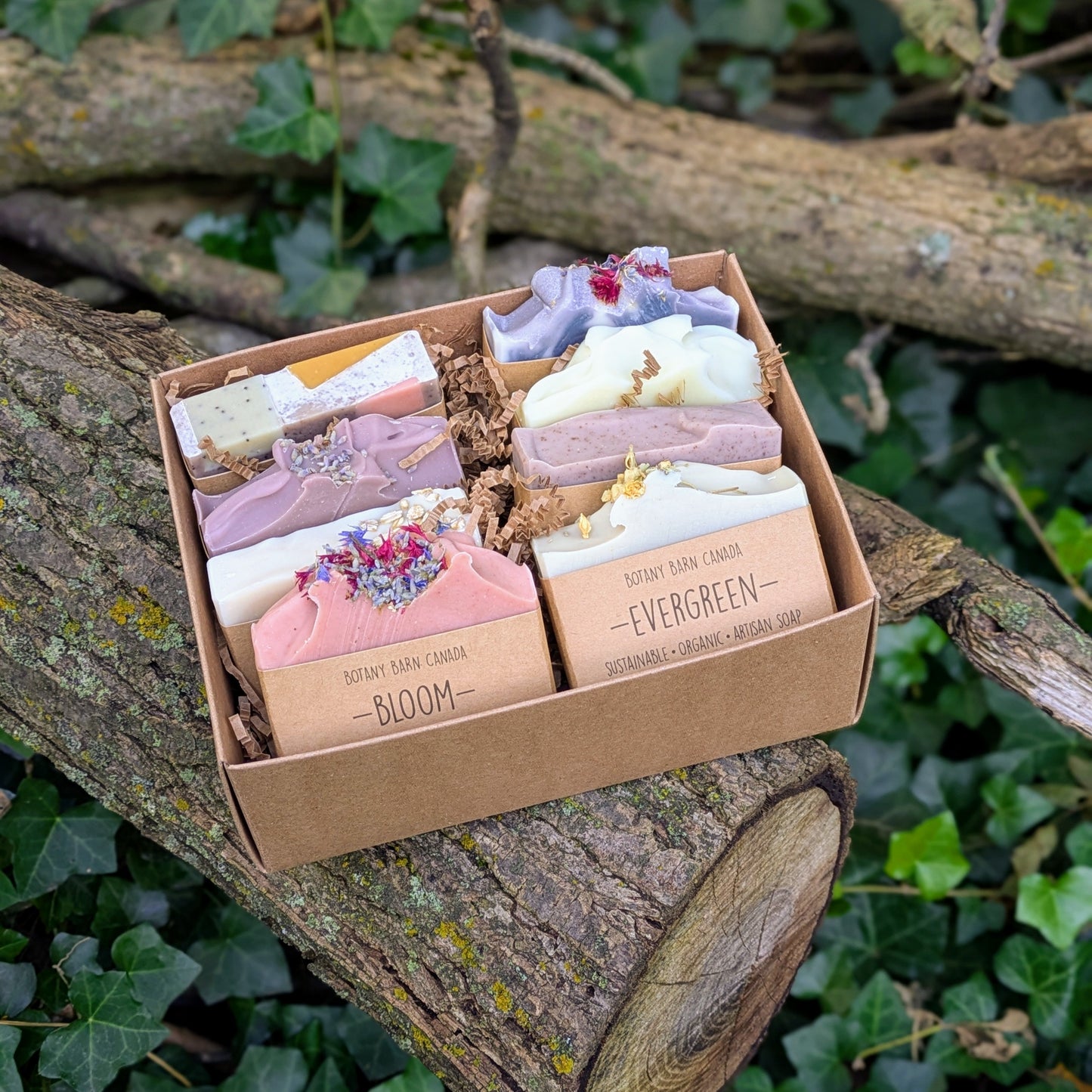 Set de regalo ecológico de ocho jabones artesanales orgánicos
