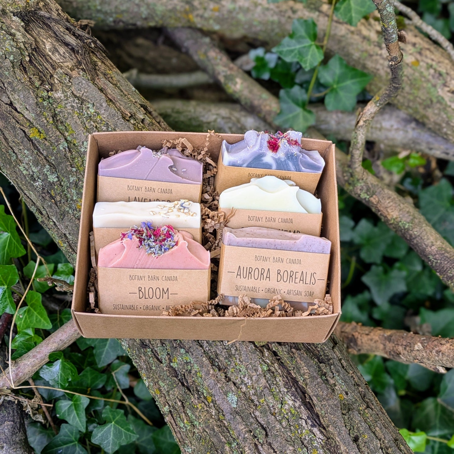 Set de regalo ecológico de seis jabones artesanales orgánicos