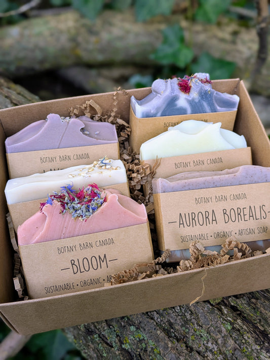 Natural Soaps | Gift Set of Six Organic Artisan Soaps