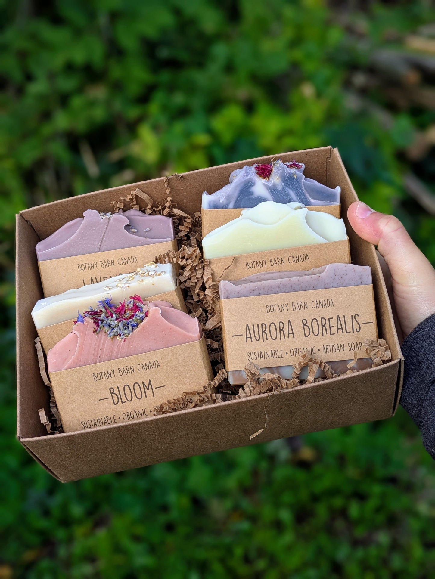 Set de regalo ecológico de seis jabones artesanales orgánicos