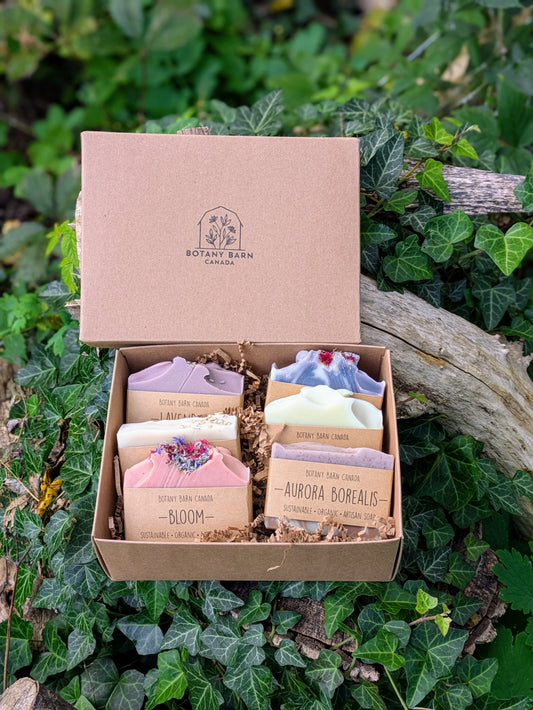 Natural Soaps | Gift Set of Six Organic Artisan Soaps