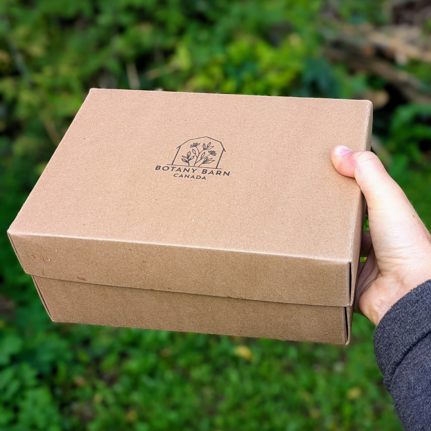 Set de regalo ecológico de seis jabones artesanales orgánicos