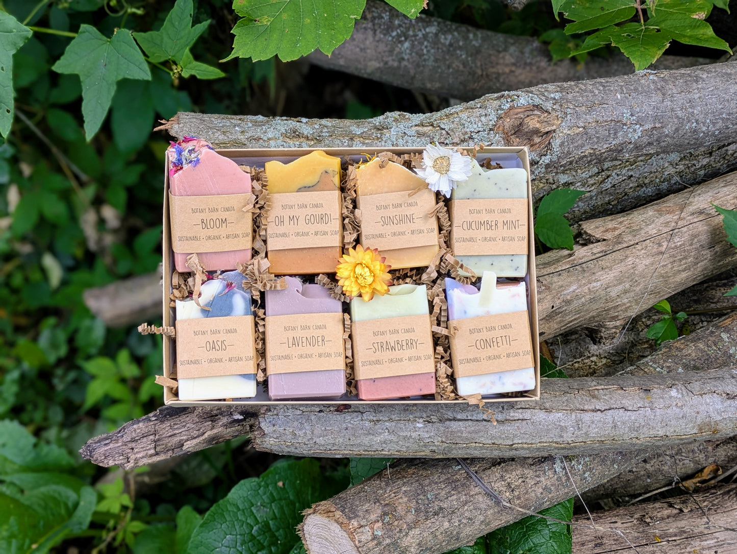 Coffret cadeau de 8 savons aux huiles essentielles faits à la main - Échantillonneur de savon demi-barre
