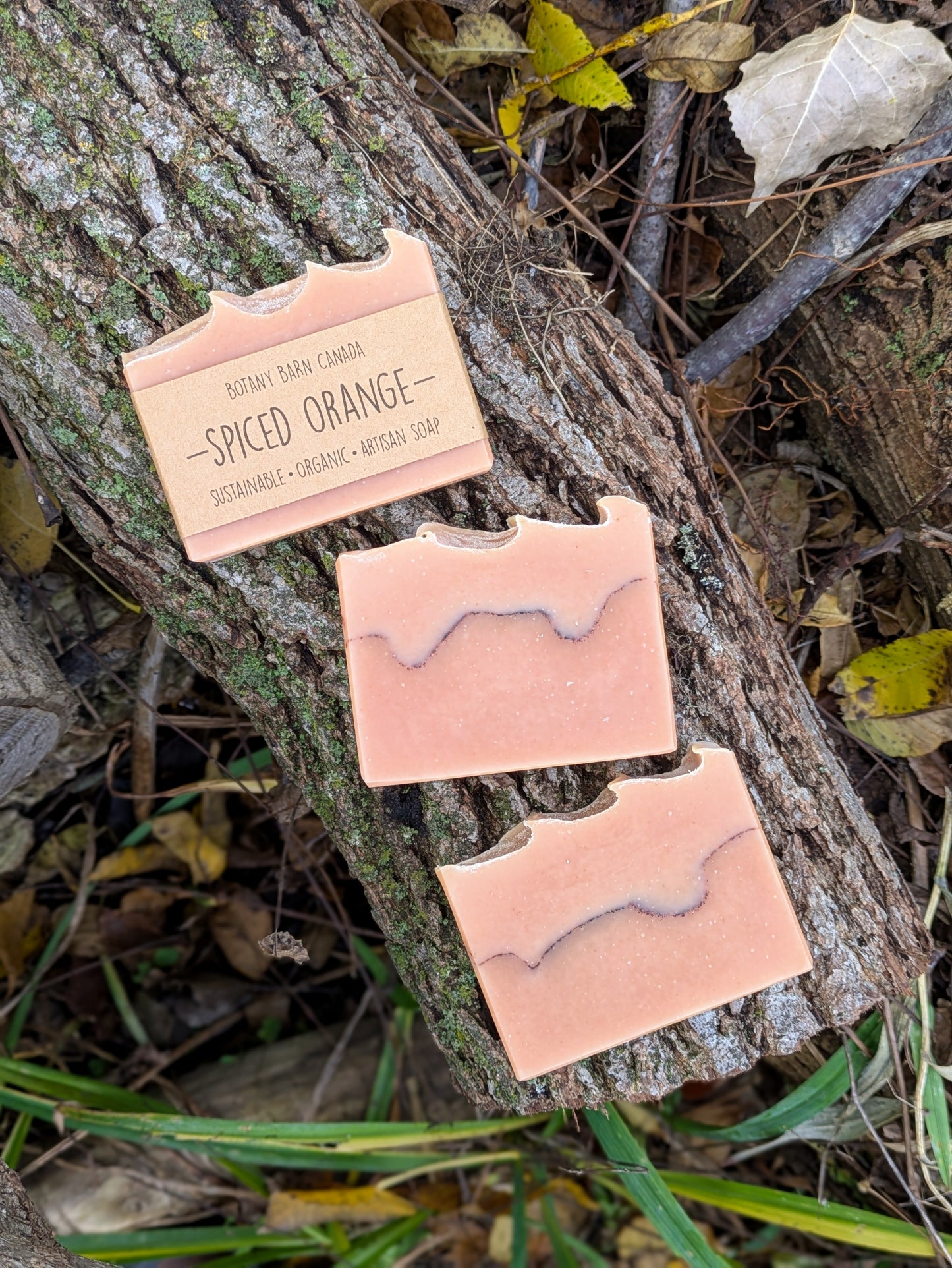 Natural Soap | SPICED ORANGE - Sweet Orange, Cinnamon & Vanilla Holiday Soap