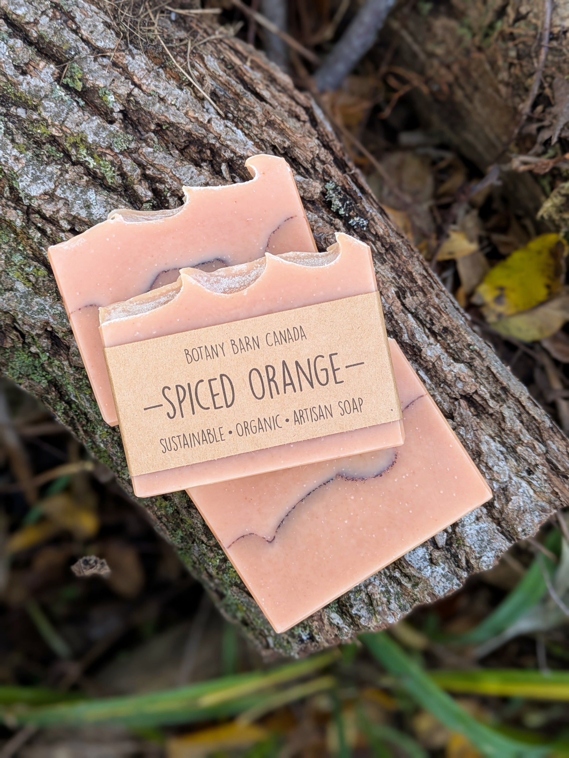 Bar of soap with a label reading "Spiced Orange" on a tree branch