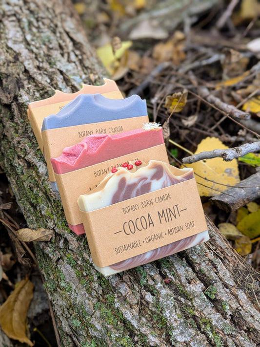 Four bars of soap in brown packaging on a tree branch with autumn leaves.