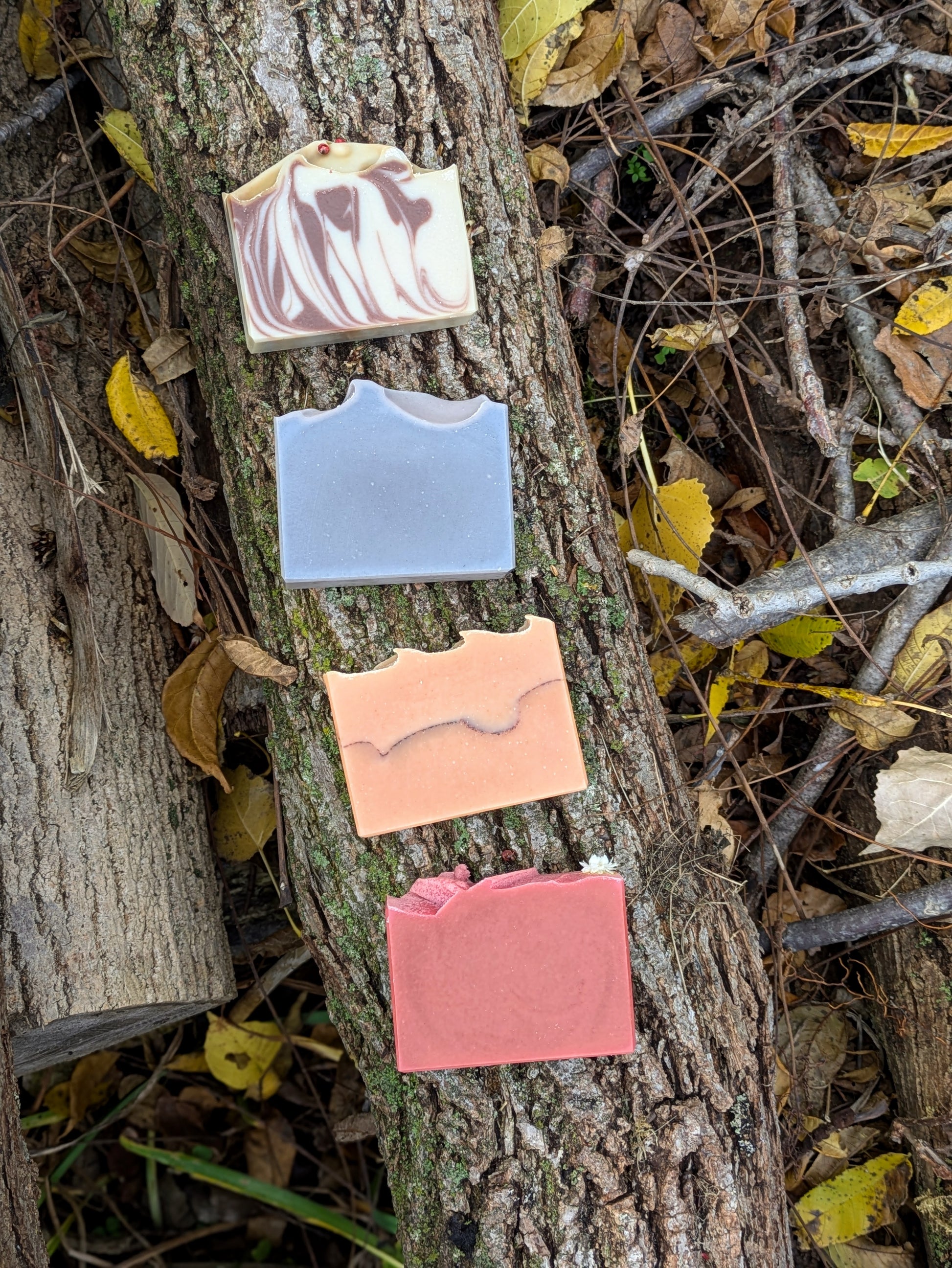 Five colorful soap bars on a tree branch with autumn leaves.