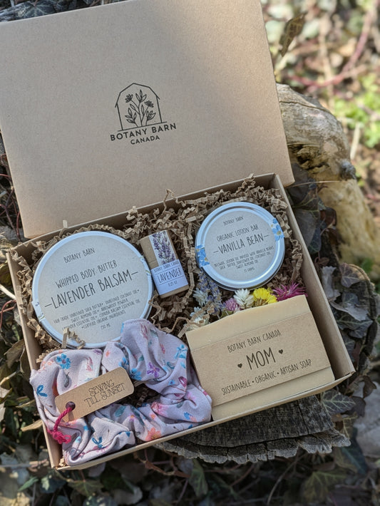 Set de regalo sostenible con 2 jabones naturales, 2 bálsamos labiales ecológicos y 1 barra de loción orgánica