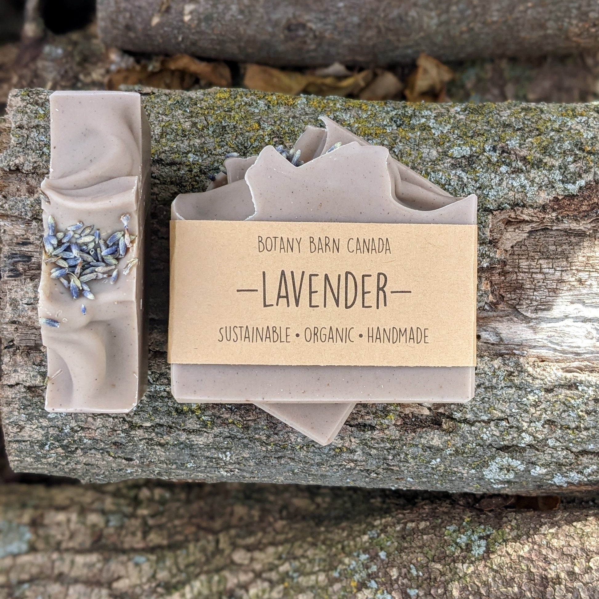 Bars of handmade artisan soap, top and front view. The soap is pale purple in colour with dried lavender buds scattered on top. A brown label reads the name of the company, Botany Barn Canada and the name of the soap, Lavender.