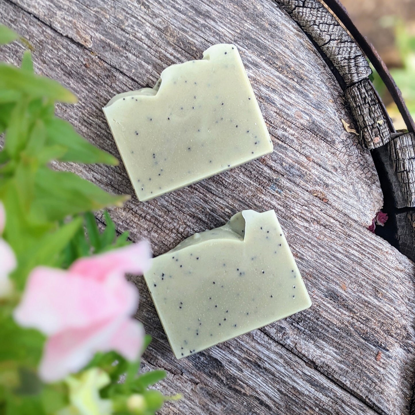 Two green soap bars with poppy seeds embedded, on a wooden surface, surrounded by greenery.