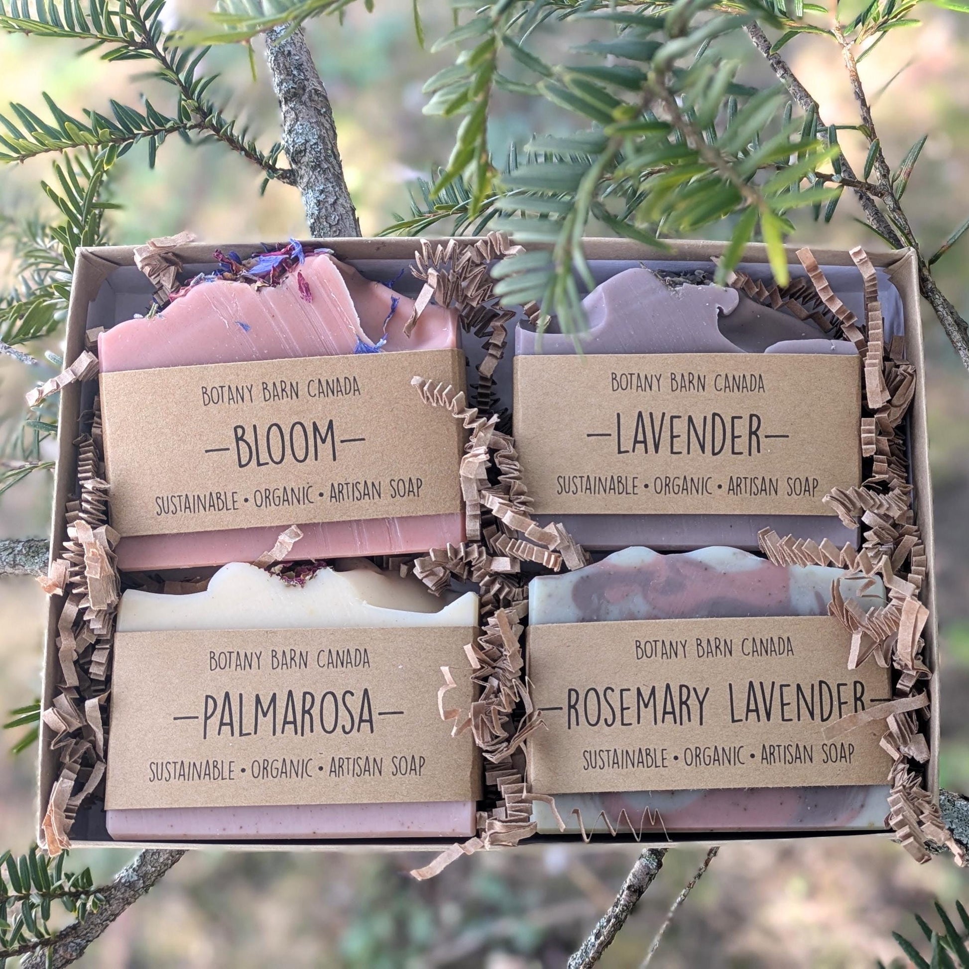 Box of Botany Barn Canada soaps with visible labels on a natural background