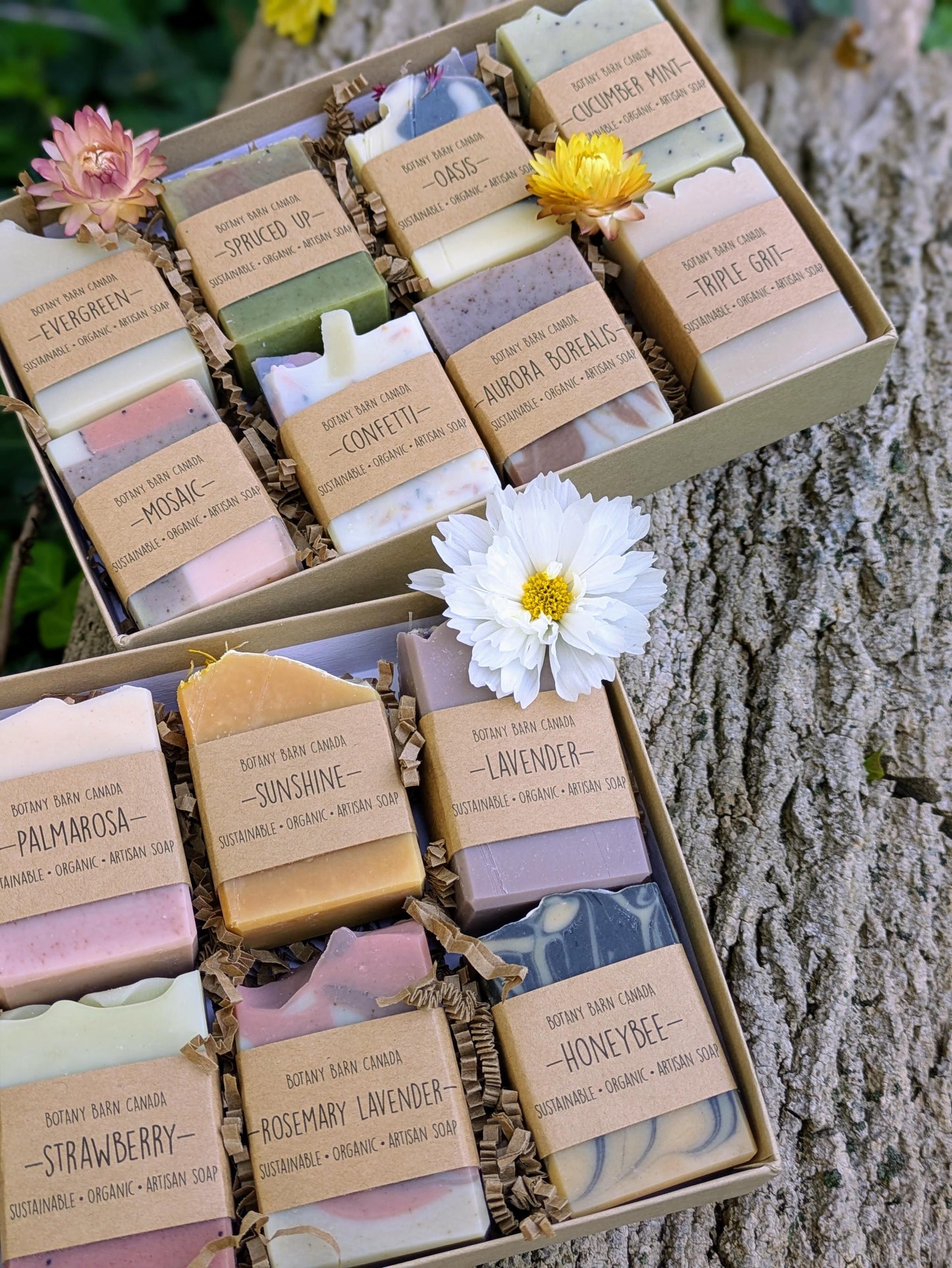Assorted soap bars in a box with visible labels on a textured surface.