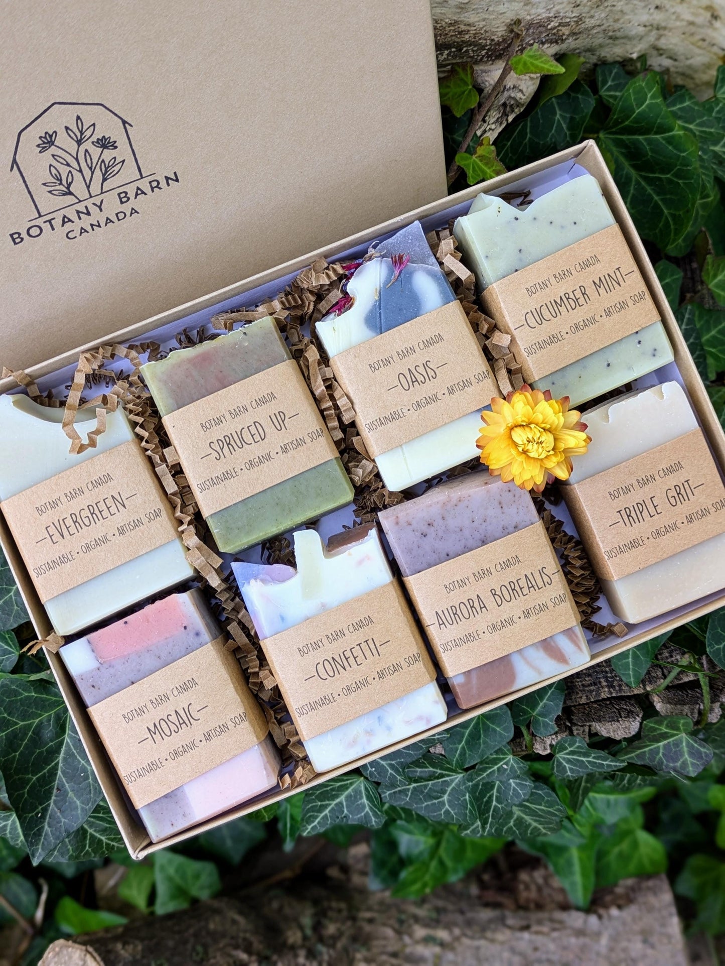 Box of assorted soaps with visible branding on a natural background