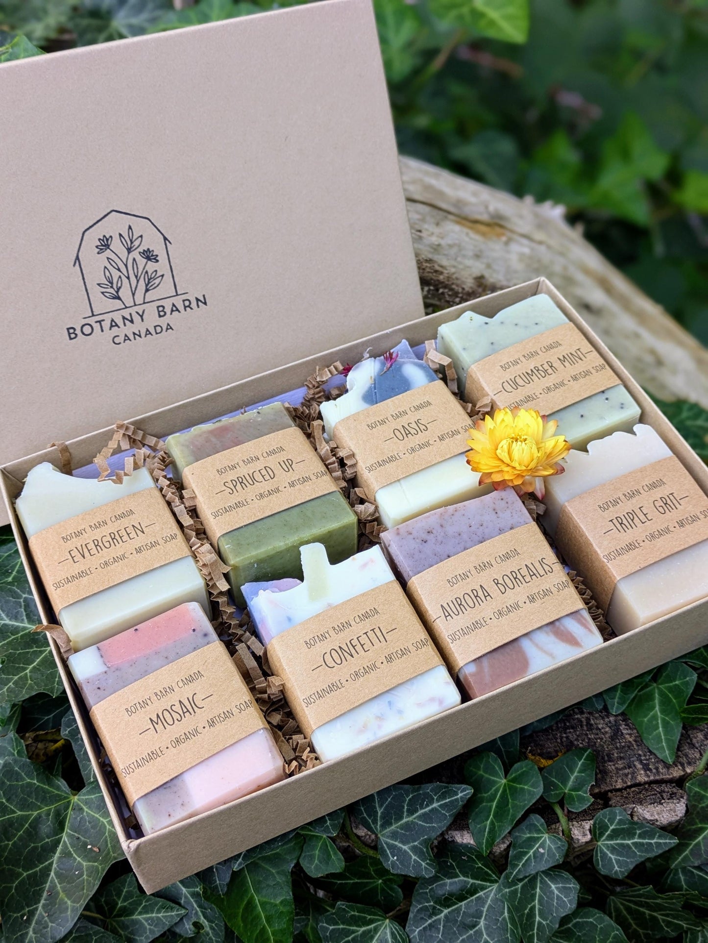 Box of assorted soaps with visible Botany Barn branding on a natural background