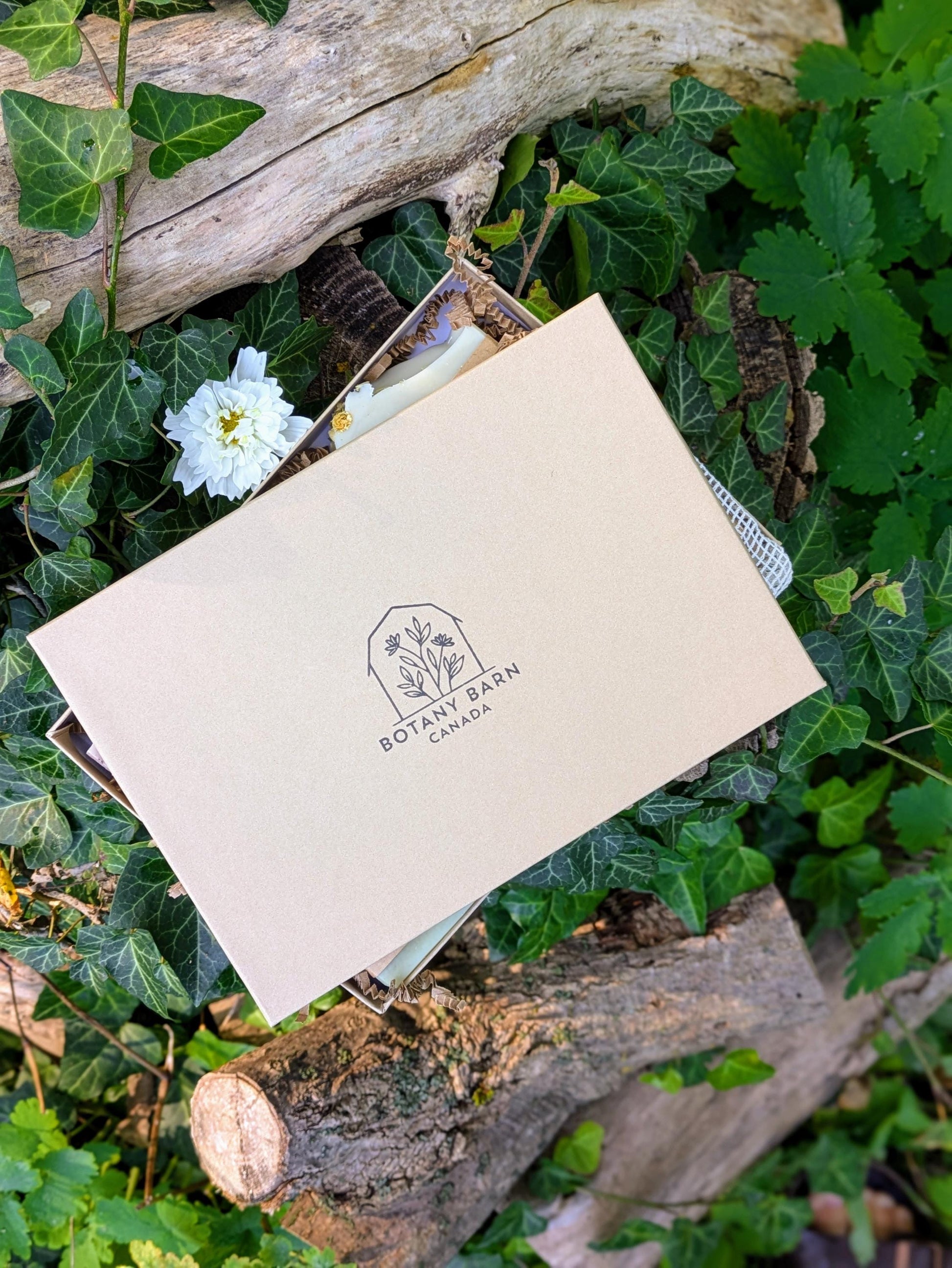Top down view of a Barn Canada Canada gift box with visible logo on a natural background with greenery and a flower.