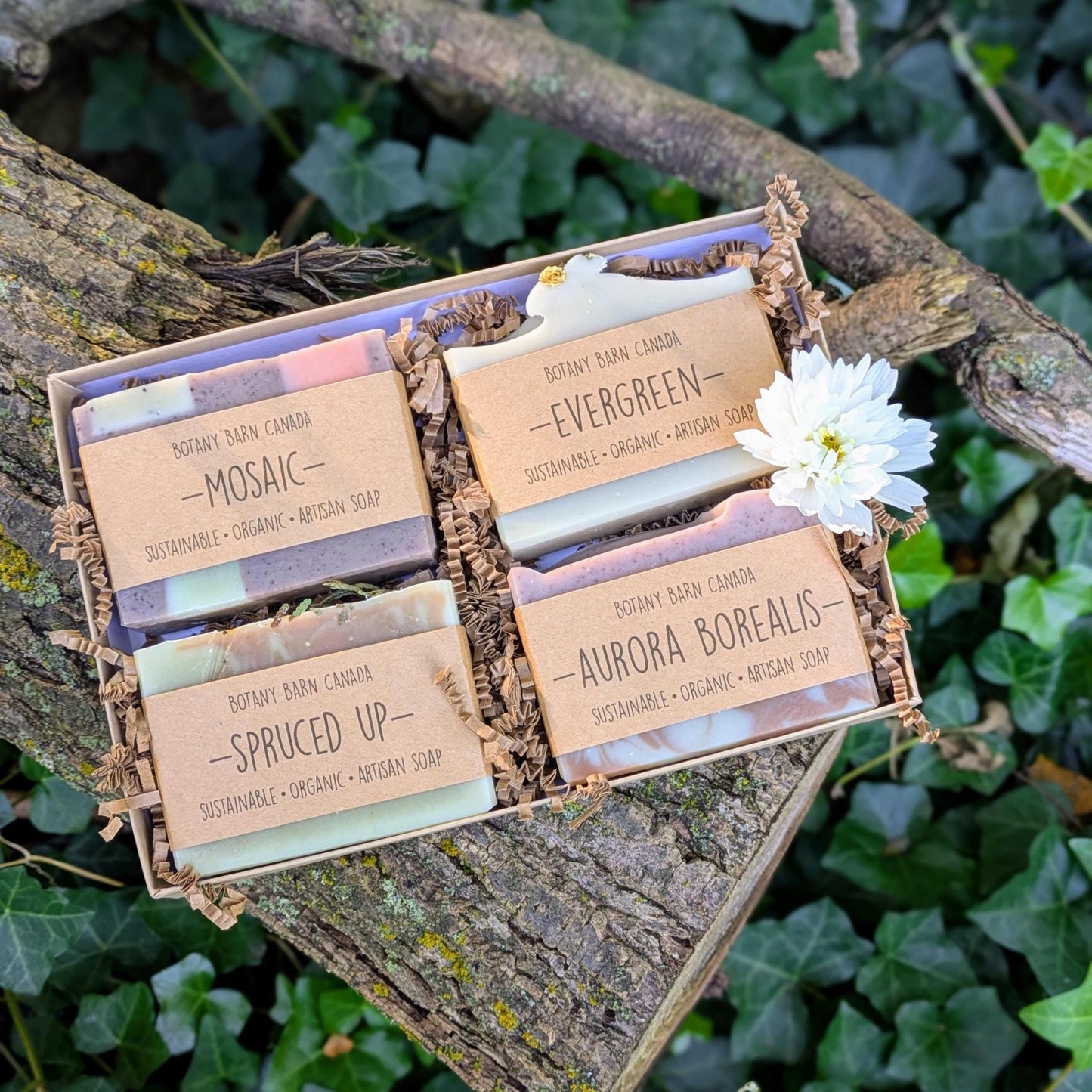 Box of assorted soaps with visible branding on a natural background
