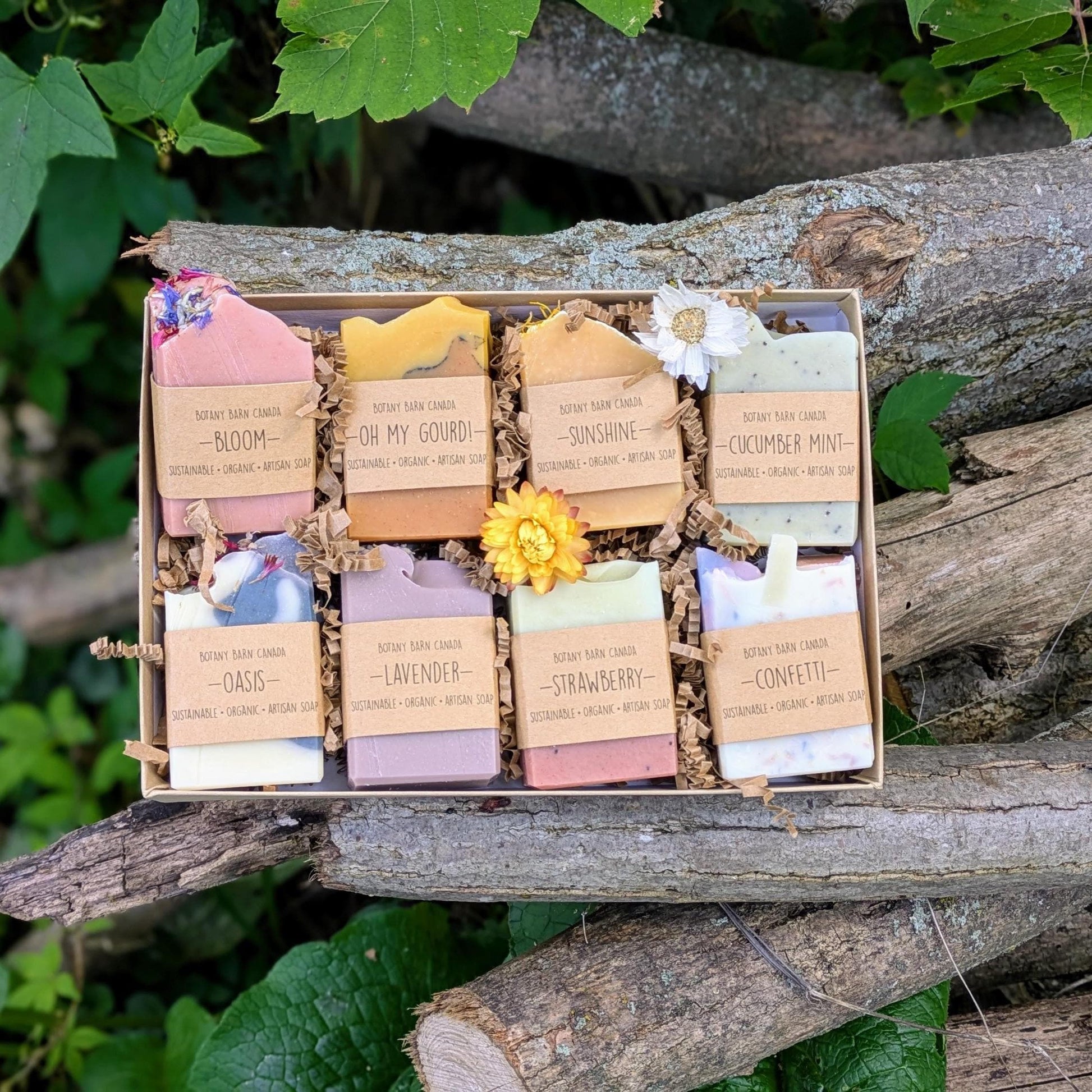 Box of assorted soaps with visible labels on a wooden log outdoors