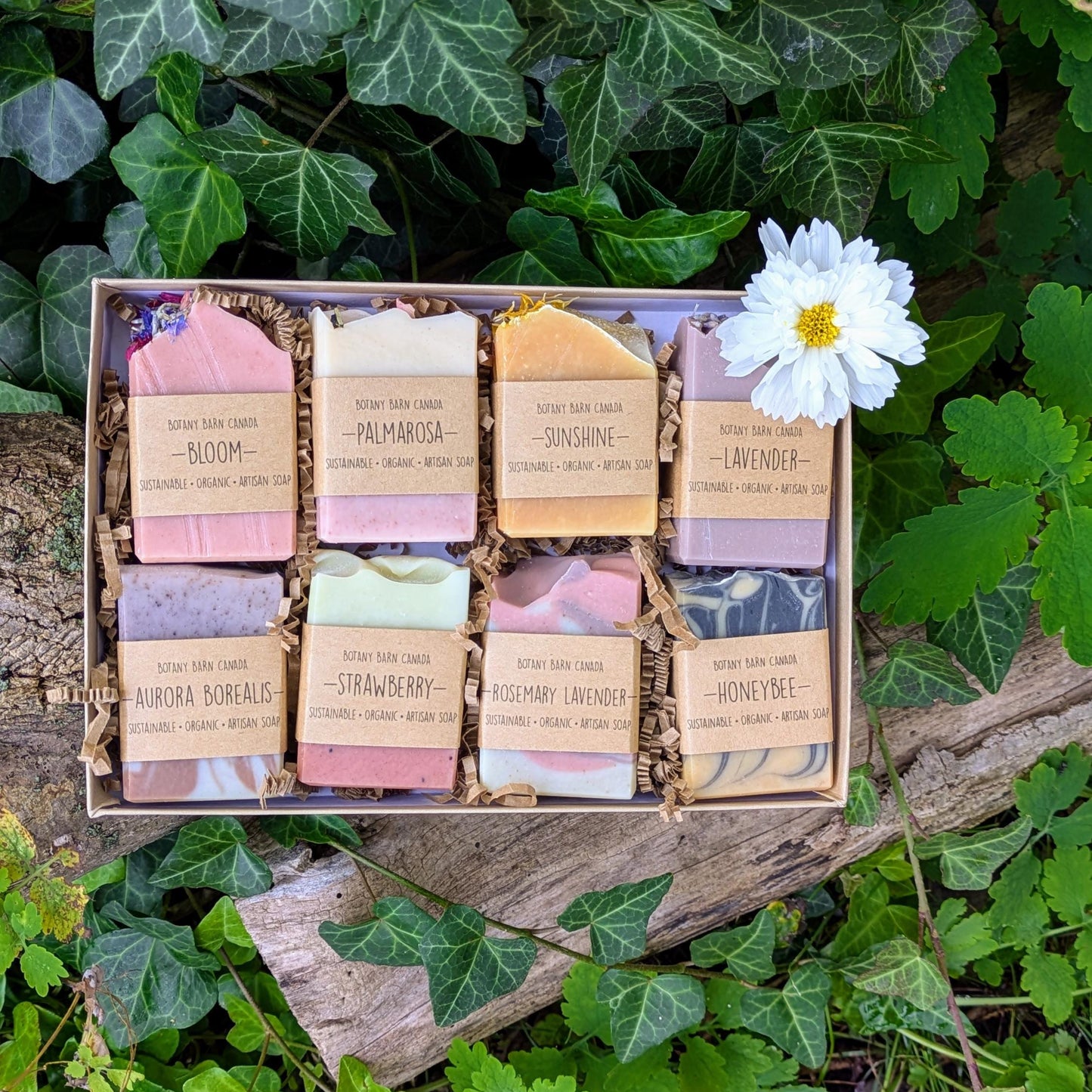 Box of soap bars with visible labels on a wooden surface surrounded by green leaves and a white flower.