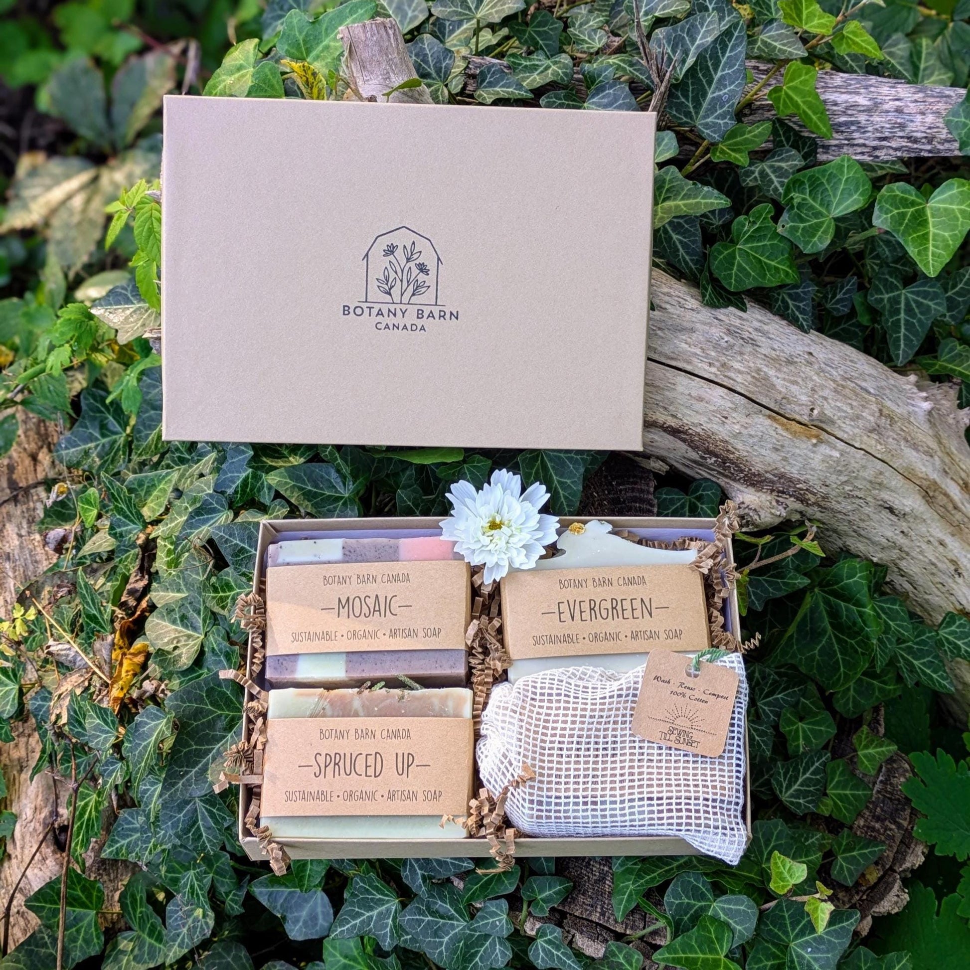 Box of Botany Barn Canada soaps and a mesh soap saver bag, on green leaf background