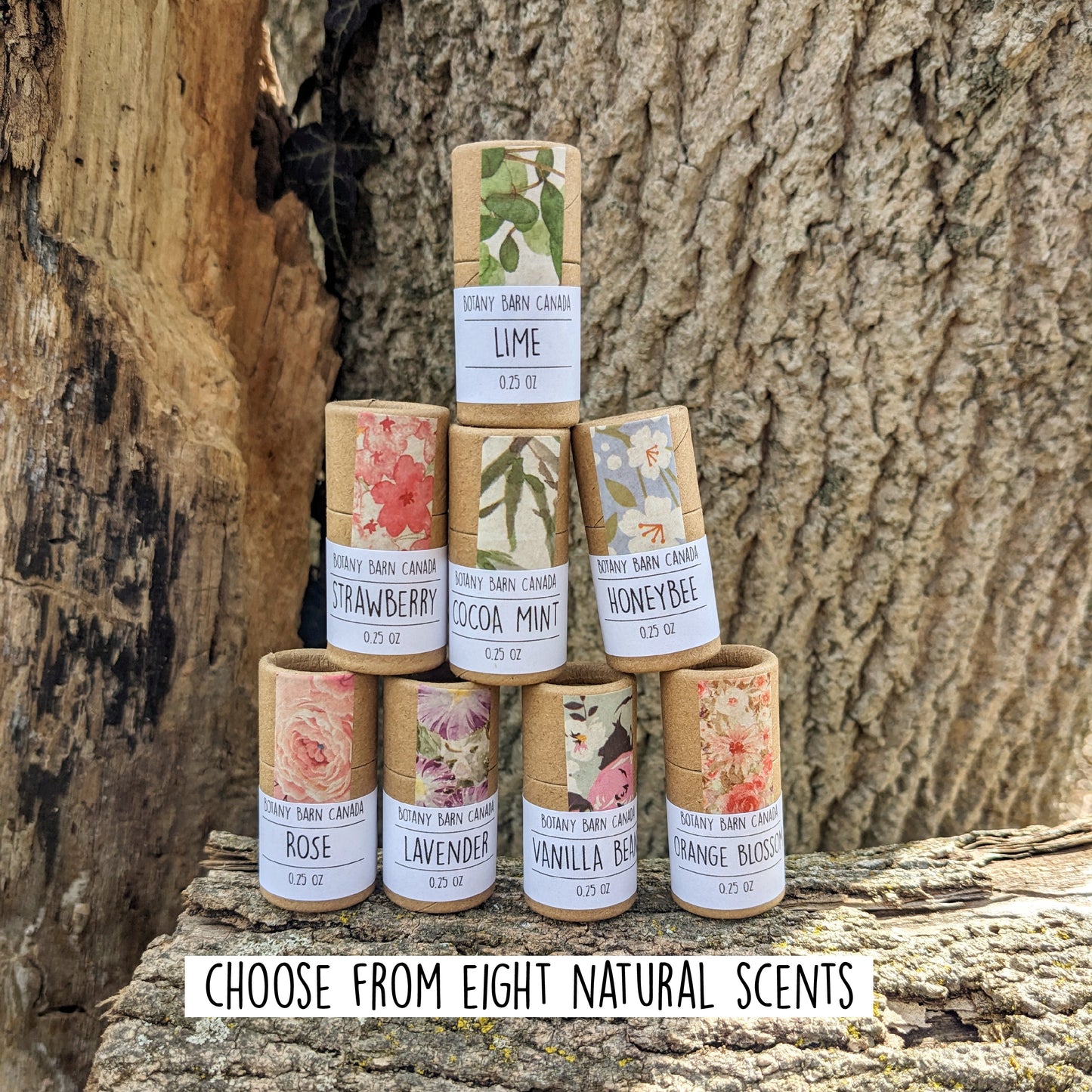 Natural Lip Balm | Set of Three Eco Friendly & Organic Lip Balm