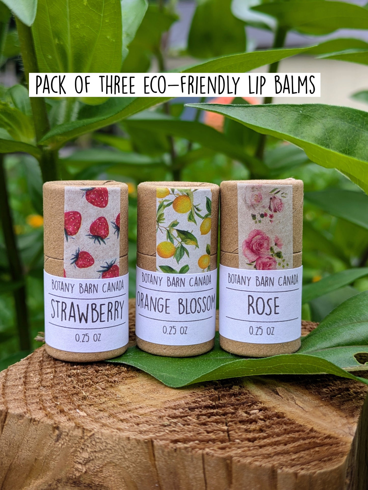 Natural Lip Balm | Set of Three Eco Friendly & Organic Lip Balm