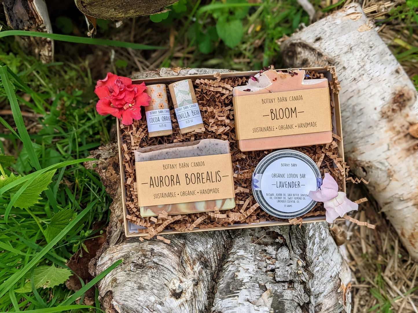 Sustainable Gift Set with 2 Natural Soaps, 2 Eco Friendly Lip Balm, 1 Organic Lotion Bar